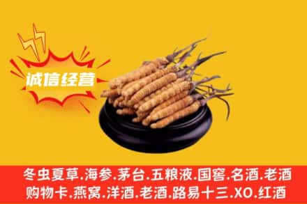 温州龙港市回收冬虫夏草